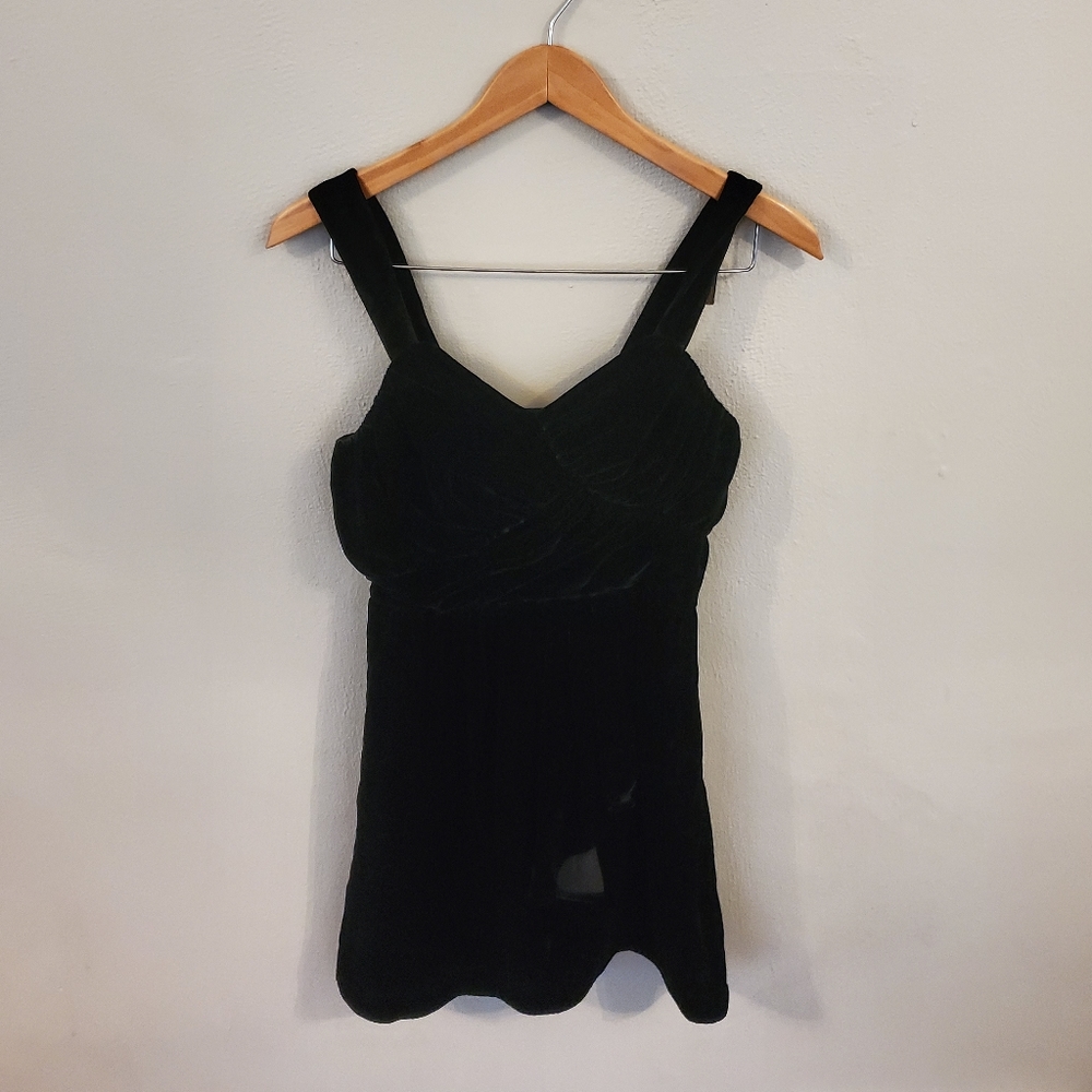 Express Velvet Dress